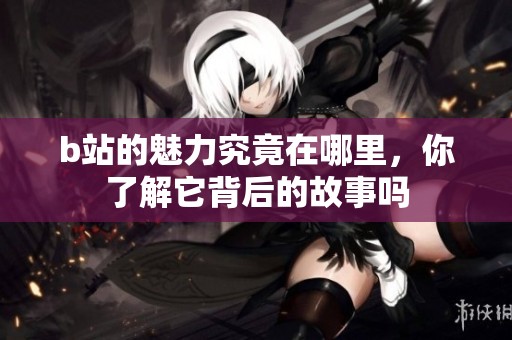 b站的魅力究竟在哪里，你了解它背后的故事吗