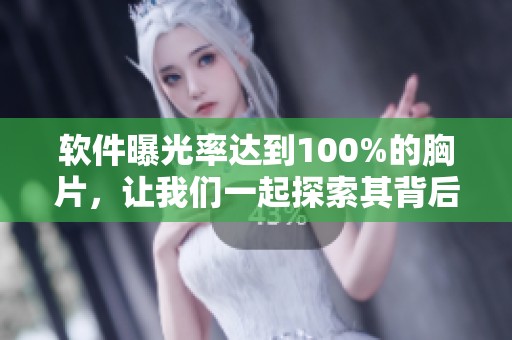 软件曝光率达到100%的胸片，让我们一起探索其背后的奥秘与应用