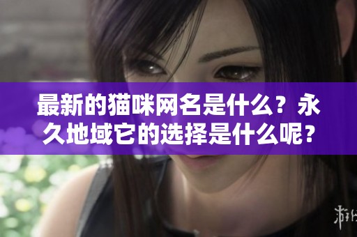 最新的猫咪网名是什么？永久地域它的选择是什么呢？
