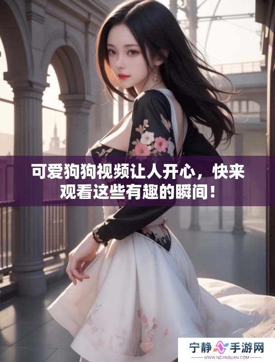 可爱狗狗视频让人开心，快来观看这些有趣的瞬间！