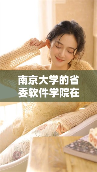 南京大学的省委软件学院在全新发展上迈出了重要一步