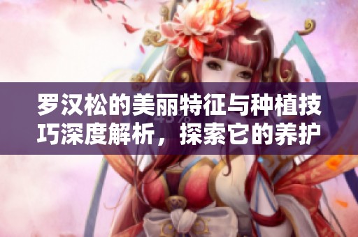罗汉松的美丽特征与种植技巧深度解析，探索它的养护秘诀与魅力所在