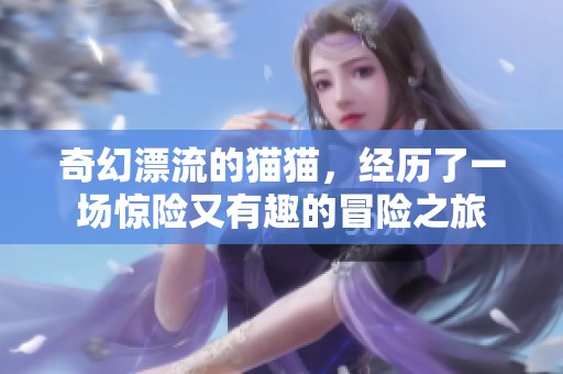 奇幻漂流的猫猫，经历了一场惊险又有趣的冒险之旅