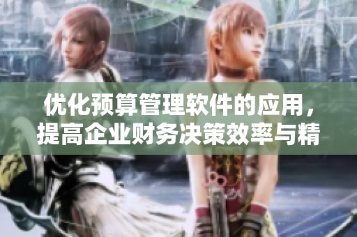 优化预算管理软件的应用，提高企业财务决策效率与精准度