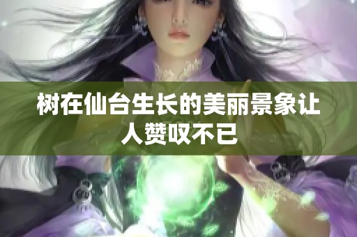 树在仙台生长的美丽景象让人赞叹不已