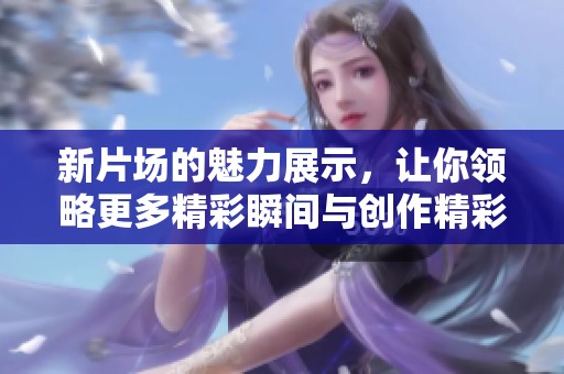 新片场的魅力展示，让你领略更多精彩瞬间与创作精彩