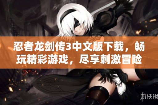 忍者龙剑传3中文版下载，畅玩精彩游戏，尽享刺激冒险体验