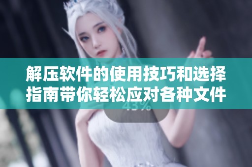 解压软件的使用技巧和选择指南带你轻松应对各种文件压缩问题