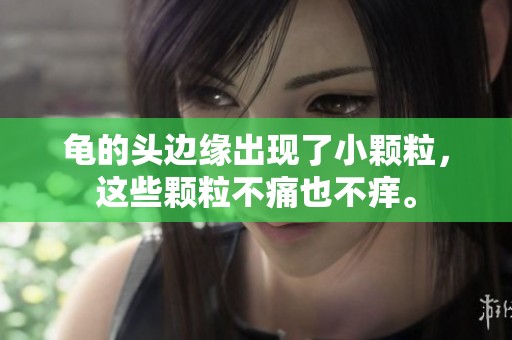 龟的头边缘出现了小颗粒，这些颗粒不痛也不痒。