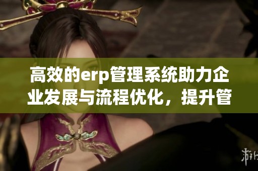 高效的erp管理系统助力企业发展与流程优化，提升管理水平与决策能力