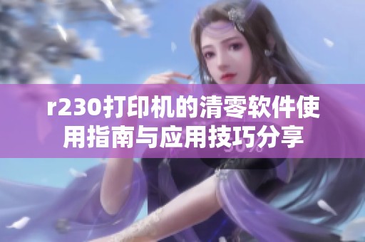 r230打印机的清零软件使用指南与应用技巧分享