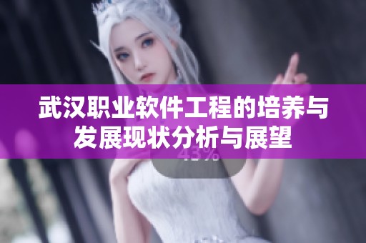 武汉职业软件工程的培养与发展现状分析与展望