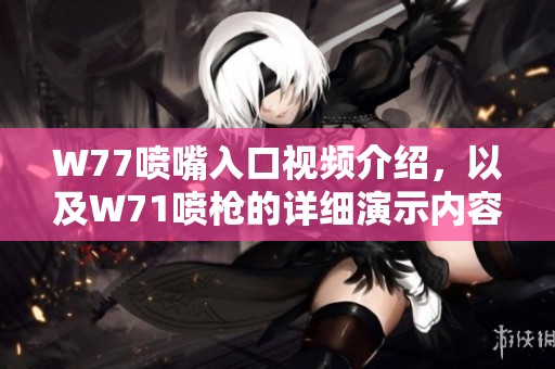 W77喷嘴入口视频介绍，以及W71喷枪的详细演示内容