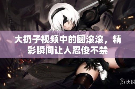 大扔子视频中的圆滚滚，精彩瞬间让人忍俊不禁
