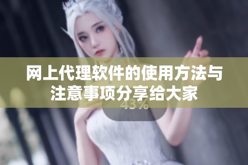网上代理软件的使用方法与注意事项分享给大家