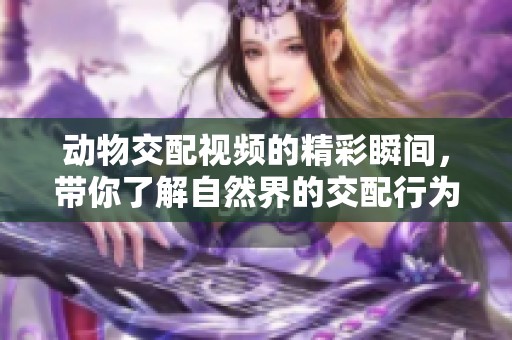 动物交配视频的精彩瞬间，带你了解自然界的交配行为与习性。