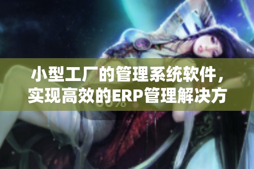 小型工厂的管理系统软件，实现高效的ERP管理解决方案