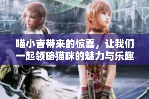 喵小吉带来的惊喜，让我们一起领略猫咪的魅力与乐趣