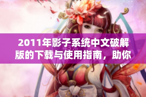 2011年影子系统中文破解版的下载与使用指南，助你轻松掌握这一软件
