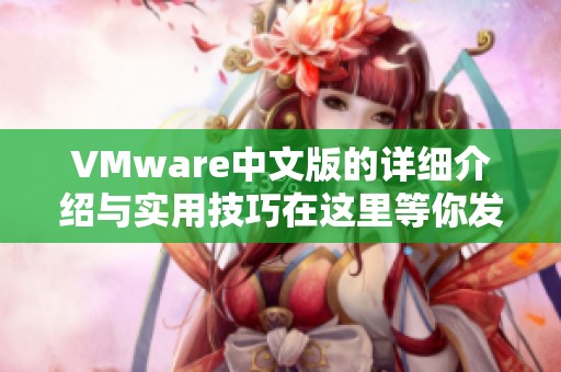 VMware中文版的详细介绍与实用技巧在这里等你发现