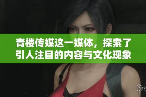 青楼传媒这一媒体，探索了引人注目的内容与文化现象