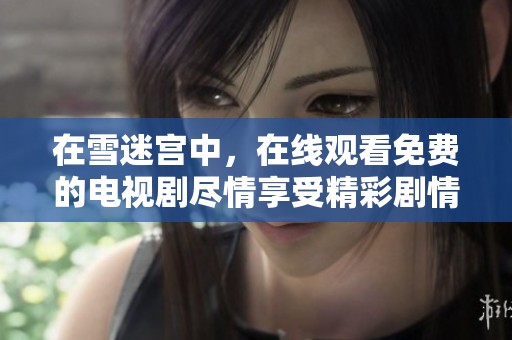在雪迷宫中，在线观看免费的电视剧尽情享受精彩剧情的魅力与快感