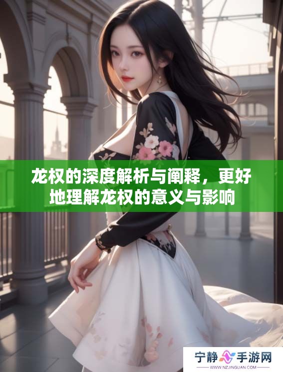 龙权的深度解析与阐释，更好地理解龙权的意义与影响