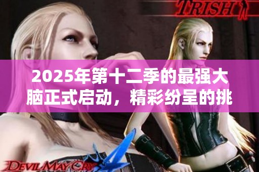 2025年第十二季的最强大脑正式启动，精彩纷呈的挑战即将来临