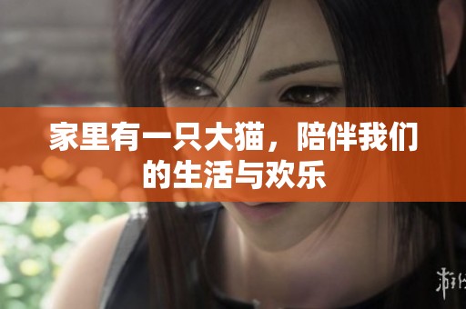 家里有一只大猫，陪伴我们的生活与欢乐