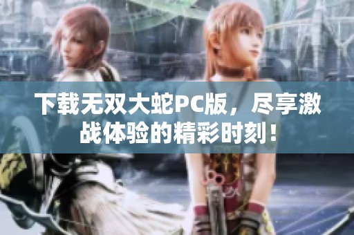 下载无双大蛇PC版，尽享激战体验的精彩时刻！