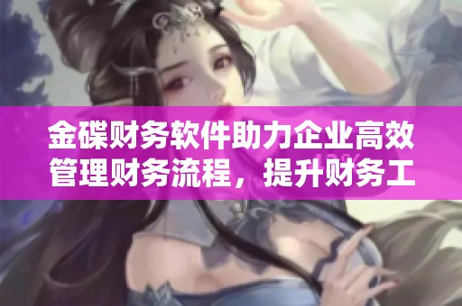 金碟财务软件助力企业高效管理财务流程，提升财务工作效率与质量