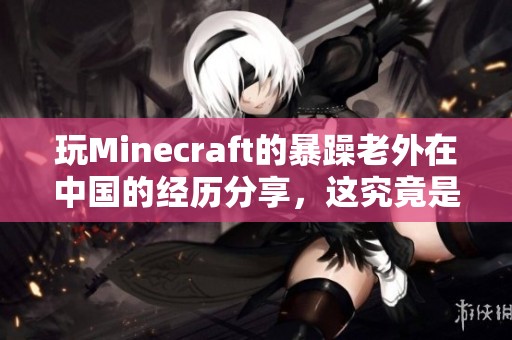 玩Minecraft的暴躁老外在中国的经历分享，这究竟是怎样的故事呢
