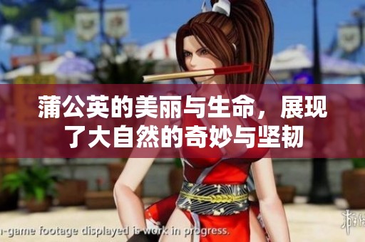 蒲公英的美丽与生命，展现了大自然的奇妙与坚韧