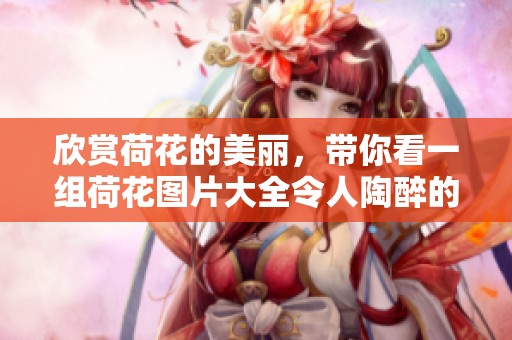 欣赏荷花的美丽，带你看一组荷花图片大全令人陶醉的画面