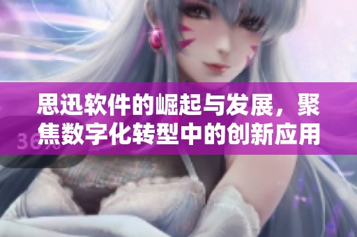思迅软件的崛起与发展，聚焦数字化转型中的创新应用