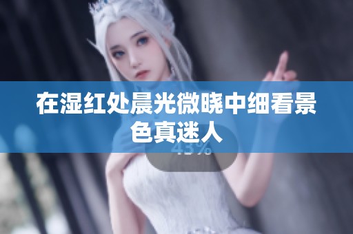 在湿红处晨光微晓中细看景色真迷人