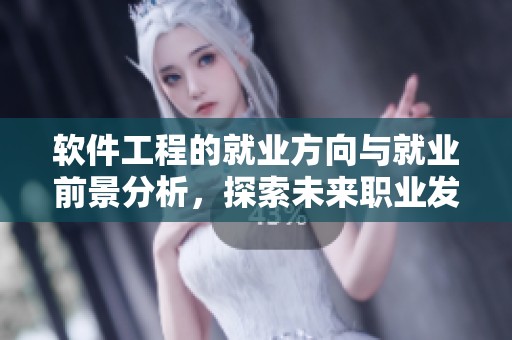 软件工程的就业方向与就业前景分析，探索未来职业发展机会