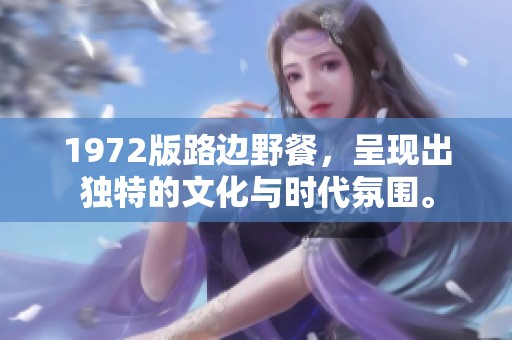 1972版路边野餐，呈现出独特的文化与时代氛围。