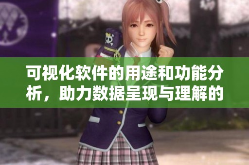 可视化软件的用途和功能分析，助力数据呈现与理解的提升