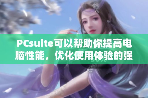 PCsuite可以帮助你提高电脑性能，优化使用体验的强大工具
