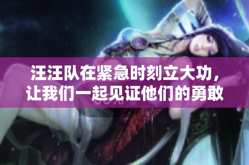 汪汪队在紧急时刻立大功，让我们一起见证他们的勇敢表现