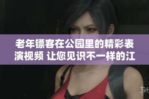 老年镖客在公园里的精彩表演视频 让您见识不一样的江湖情怀