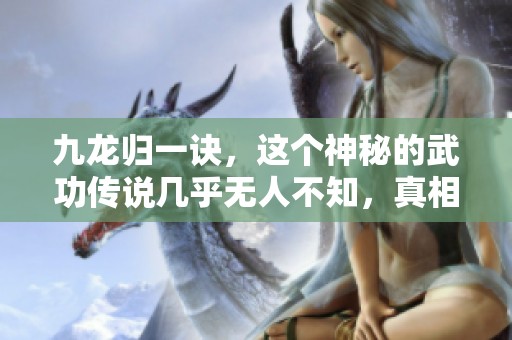 九龙归一诀，这个神秘的武功传说几乎无人不知，真相究竟是什么呢