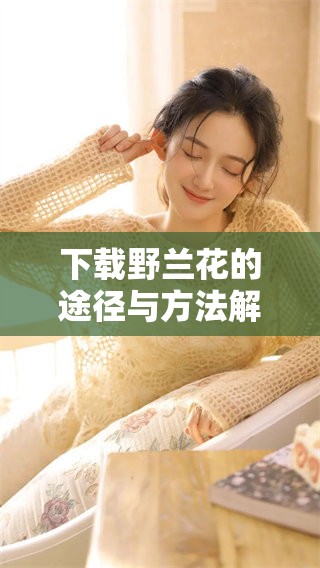 下载野兰花的途径与方法解析，让你轻松获得这款精彩内容