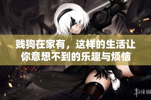 贱狗在家有，这样的生活让你意想不到的乐趣与烦恼