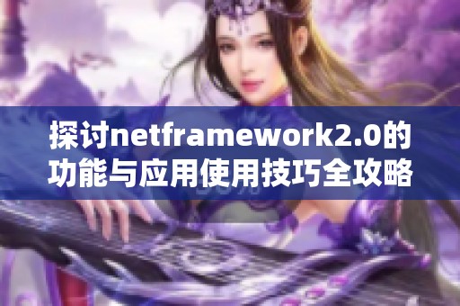 探讨netframework2.0的功能与应用使用技巧全攻略