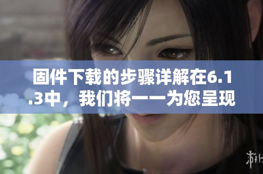 固件下载的步骤详解在6.1.3中，我们将一一为您呈现