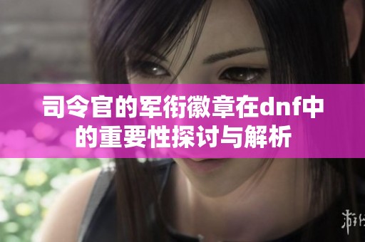 司令官的军衔徽章在dnf中的重要性探讨与解析