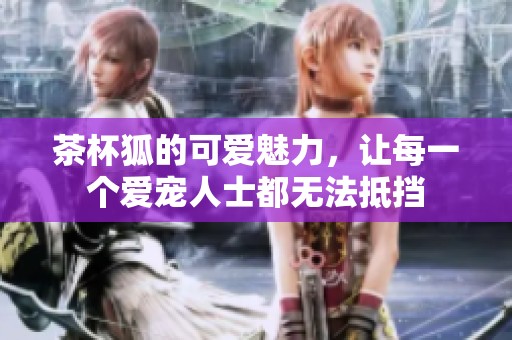 茶杯狐的可爱魅力，让每一个爱宠人士都无法抵挡