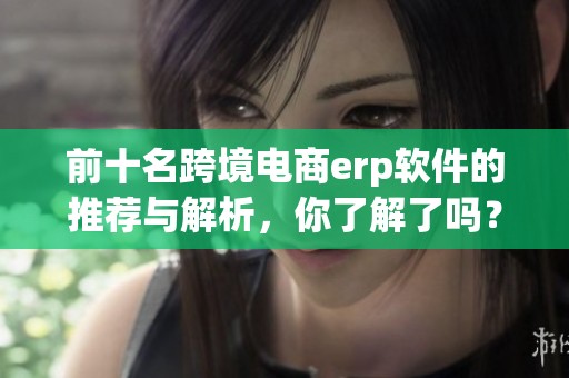 前十名跨境电商erp软件的推荐与解析，你了解了吗？
